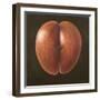 Coco de Mer, Maldives, 2012-Lincoln Seligman-Framed Giclee Print