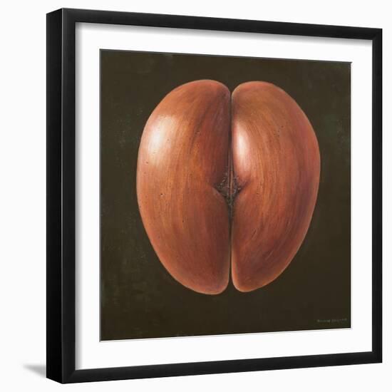 Coco de Mer, Maldives, 2012-Lincoln Seligman-Framed Giclee Print