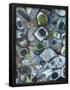 Essential Black