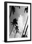 Coco Island No2-Shot by Clint-Framed Giclee Print