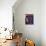 Coco Koko Pelli-Steven Scott-Mounted Giclee Print displayed on a wall