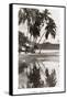 Coco Palms, Acapulco, 1932-null-Framed Stretched Canvas