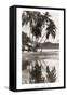 Coco Palms, Acapulco, 1932-null-Framed Stretched Canvas