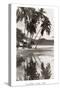 Coco Palms, Acapulco, 1932-null-Stretched Canvas
