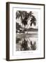 Coco Palms, Acapulco, 1932-null-Framed Art Print