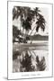 Coco Palms, Acapulco, 1932-null-Mounted Art Print