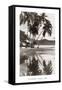 Coco Palms, Acapulco, 1932-null-Framed Stretched Canvas