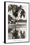 Coco Palms, Acapulco, 1932-null-Framed Stretched Canvas