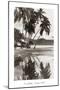 Coco Palms, Acapulco, 1932-null-Mounted Art Print