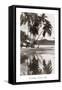 Coco Palms, Acapulco, 1932-null-Framed Stretched Canvas