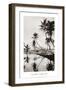 Coco Palms, Honolulu, 1935-null-Framed Art Print