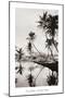 Coco Palms, Honolulu, 1935-null-Mounted Art Print