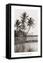 Coco Palms, Oahu, 1926-null-Framed Stretched Canvas
