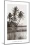 Coco Palms, Oahu, 1926-null-Mounted Art Print