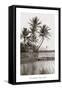 Coco Palms, Oahu, 1926-null-Framed Stretched Canvas