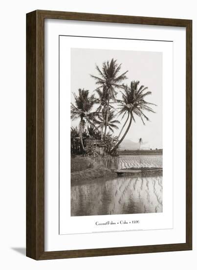 Coco Palms, Oahu, 1926-null-Framed Art Print