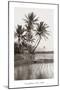 Coco Palms, Oahu, 1926-null-Mounted Art Print