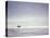Cocoa Beach Surfer, Florida, USA-Stuart Westmoreland-Stretched Canvas