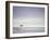 Cocoa Beach Surfer, Florida, USA-Stuart Westmoreland-Framed Premium Photographic Print