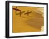 Cocoa Beach Surfer, Florida, USA-Stuart Westmoreland-Framed Photographic Print