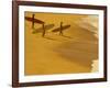 Cocoa Beach Surfer, Florida, USA-Stuart Westmoreland-Framed Photographic Print