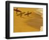 Cocoa Beach Surfer, Florida, USA-Stuart Westmoreland-Framed Photographic Print