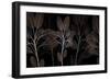 Cocoa Blooms 1-Albert Koetsier-Framed Art Print