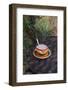 Cocoa in Coloured Cup-Andrea Haase-Framed Photographic Print