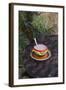 Cocoa in Coloured Cup-Andrea Haase-Framed Photographic Print