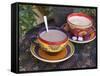 Cocoa in Coloured Cup-Andrea Haase-Framed Stretched Canvas