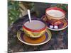 Cocoa in Coloured Cup-Andrea Haase-Mounted Photographic Print
