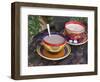 Cocoa in Coloured Cup-Andrea Haase-Framed Photographic Print