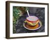 Cocoa in Coloured Cup-Andrea Haase-Framed Photographic Print