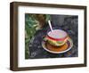 Cocoa in Coloured Cup-Andrea Haase-Framed Photographic Print