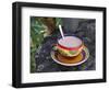 Cocoa in Coloured Cup-Andrea Haase-Framed Photographic Print