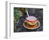 Cocoa in Coloured Cup-Andrea Haase-Framed Photographic Print