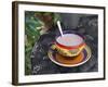 Cocoa in Coloured Cup-Andrea Haase-Framed Photographic Print