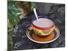 Cocoa in Coloured Cup-Andrea Haase-Mounted Photographic Print