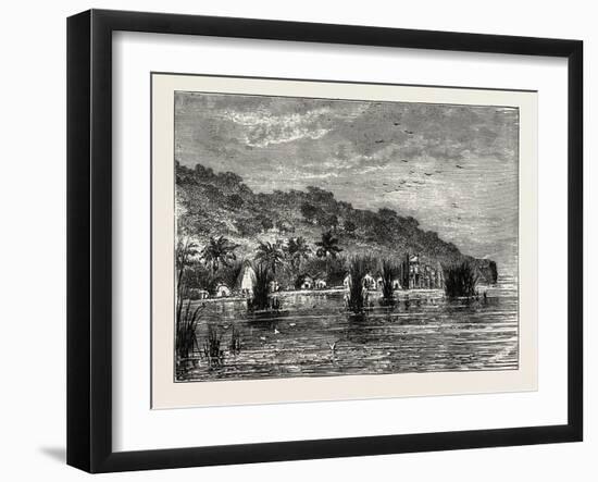 Cocoa-Nut Plantation in Ceylon, Sri Lanka-null-Framed Giclee Print