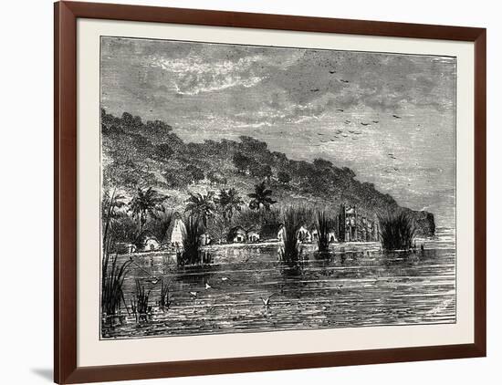 Cocoa-Nut Plantation in Ceylon, Sri Lanka-null-Framed Giclee Print