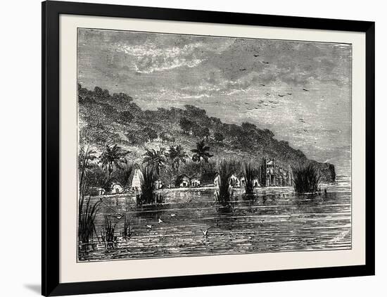 Cocoa-Nut Plantation in Ceylon, Sri Lanka-null-Framed Giclee Print