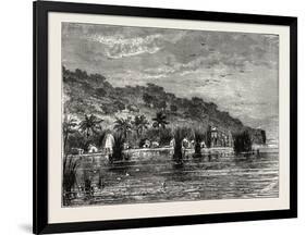 Cocoa-Nut Plantation in Ceylon, Sri Lanka-null-Framed Giclee Print