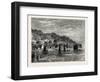 Cocoa-Nut Plantation in Ceylon, Sri Lanka-null-Framed Giclee Print