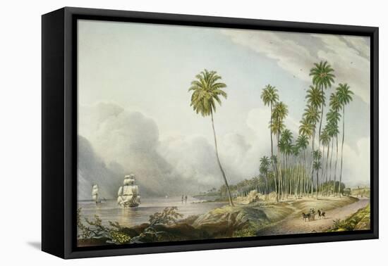 Cocoa Nut Walk on the Coast, Near Runaway Bay, Plate 15 from 'West Indian Scenery: Illustrations…-Joseph Bartholomew Kidd-Framed Stretched Canvas