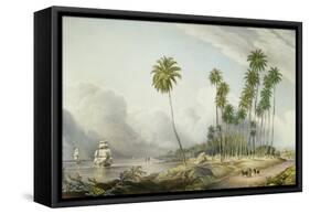 Cocoa Nut Walk on the Coast, Near Runaway Bay, Plate 15 from 'West Indian Scenery: Illustrations…-Joseph Bartholomew Kidd-Framed Stretched Canvas