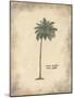Cocoa Palm-Hewitt-Mounted Giclee Print