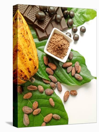 Cocoa Pod With Cocoa Beans, Powder, And Chocolates-vd808bs-Stretched Canvas