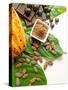 Cocoa Pod With Cocoa Beans, Powder, And Chocolates-vd808bs-Stretched Canvas