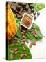 Cocoa Pod With Cocoa Beans, Powder, And Chocolates-vd808bs-Stretched Canvas