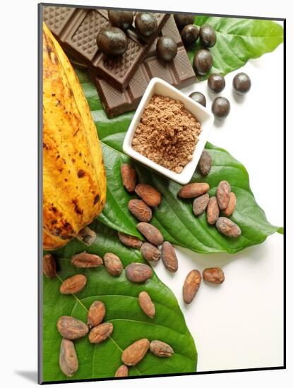 Cocoa Pod With Cocoa Beans, Powder, And Chocolates-vd808bs-Mounted Photographic Print